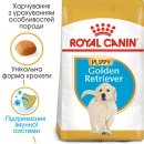 Фото - сухий корм Royal Canin GOLDEN RETRIEVER PUPPY (ГОЛДЕН РЕТРІВЕР ПАППІ) корм для цуценята до 15 місяців