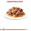 Фото 5 - вологий корм (консерви) Royal Canin INSTINCTIVE in GRAVY консерви для котів