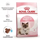 Фото - сухий корм Royal Canin Mother & Babycat (БЕБІКЕТ) сухий корм для кошенят 1-4 місяці, вагітних та лактуючих