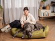 Фото - лежаки, матраси, килимки та будиночки Harley & Cho SOFA OLIVE лежак для собак, оливковий