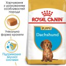 Фото - сухой корм Royal Canin DACHSHUND PUPPY (ТАКСА ПАППИ) корм для щенков до 10 месяцев