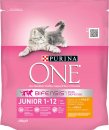 Фото - сухой корм Purina One (Пурина Ван) Junior корм для котят КУРИЦА И ЗЛАКИ