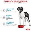 Фото - сухой корм Royal Canin GIANT JUNIOR (ЮНИОРЫ ГИГАНТСКИХ ПОРОД) корм для щенков от 8-24 месяцев