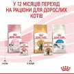 Фото 11 - влажный корм (консервы) Royal Canin KITTEN INSTINCTIVE in JELLY влажный корм для котят в возрасте 4-12 месяцев