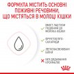 Фото 2 - замінники котячого молока Royal Canin BABYCAT MILK (БЕБІКЕТ МІЛК) замінник молока для кошенят