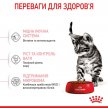 Фото - сухой корм Royal Canin KITTEN STERILISED (КИТТЕН СТЕРИЛИЗЕД) корм для стерилизованных котят от 6 до 12 месяцев