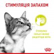 Фото - влажный корм (консервы) Royal Canin SENSORY MULTIPACK GRAVY консервы для привередливых кошек НАБОР