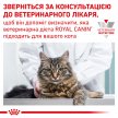 Фото - ветеринарні корми Royal Canin SKIN & COAT сухий лікувальний корм для котів