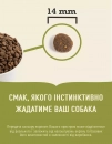 Фото 5 - сухой корм Acana Highest Protein Ranchlands Recipe корм для собак всех пород, ГОВЯДИНА, ЯГНЕНОК и СВИНИНА