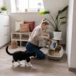 Фото 7 - наповнювачі Biokat's Organic Care деревний наповнювач для котячого туалету