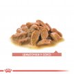 Фото 2 - влажный корм (консервы) Royal Canin Ageing 11+ влажный корм для пожилых кошек старше 11 лет