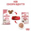 Фото 6 - влажный корм (консервы) Royal Canin KITTEN LOAF влажный корм для котят в возрасте 4-12 месяцев