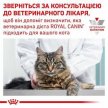 Фото - ветеринарные корма Royal Canin GASTRO INTESTINAL MODERATE CALORIE лечебные консервы для кошек