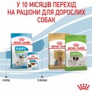 Фото - сухий корм Royal Canin X-SMALL PUPPY (ЦУЦЕНЯТА ДРІБНИХ ПОРОД) корм для цуценят до 10 місяців