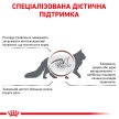 Фото 6 - ветеринарні корми Royal Canin GASTRO INTESTINAL GI32 (ГАСТРО ІНТЕСТИНАЛ) сухий лікувальний корм для котів від 1 року