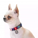 Фото - амуниция Collar WAUDOG Nylon ошейник нейлоновый c QR паспортом, пластиковый фастекс NASA21