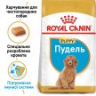 Фото 2 - сухий корм Royal Canin POODLE PUPPY корм для цуценят пуделя до 10 місяців