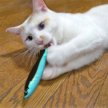 Фото 3 - іграшки CattyMan Fish Blue жувальна іграшка для котів із котячою м'ятою (мататабі) ГОЛУБАЯ РЫБКА