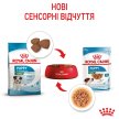 Фото - влажный корм (консервы) Royal Canin MINI PUPPY влажный корм для щенков мелких пород от 2 до 10 месяцев