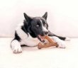 Фото 2 - іграшки Benebone Wishbone Bacon жувальна іграшка для собак ВИЛОЧКОВА КІСТКА, смак БЕКОНУ