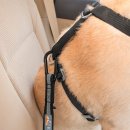 Фото 4 - аксесуари в авто Kurgo Direct to Seatbelt Tether автомобільний ремінь безпеки для собак, чорно-сірий