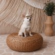 Фото 5 - одежда Pet Fashion Gold панама для собаки