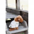 Фото 7 - одяг Pet Fashion Maryana вишиванка для собак