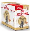 Фото - влажный корм (консервы) Royal Canin BRITISH SHORTHAIR ADULT влажный корм для кошек породы британская короткошерстная