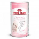 Фото - заменитель кошачьего молока Royal Canin BABYCAT MILK (БЕБИКЕТ МИЛК) заменитель молока для котят