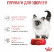 Фото 5 - влажный корм (консервы) Royal Canin KITTEN LOAF влажный корм для котят в возрасте 4-12 месяцев