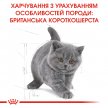 Фото 5 - сухой корм Royal Canin Kitten BRITISH SHORTHAIR (БРИТАНСКАЯ КОРОТКОШЕРСТНАЯ КИТТЕН) корм для котят до 12 месяцев