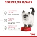 Фото - сухий корм Royal Canin KITTEN (КІТТЕН) корм для кошенят до 12 місяців