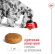 Фото 6 - сухий корм Royal Canin MEDIUM ADULT (СОБАКИ СЕРЕДНІХ ПОРІД ЕДАЛТ) корм для собак від 12 місяців