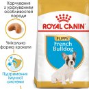 Фото - сухой корм Royal Canin FRENCH BULLDOG PUPPY (ФРАНЦУЗCКИЙ БУЛЬДОГ ПАППИ) корм для щенков до 12 месяцев