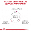 Фото 4 - ветеринарні корми Royal Canin RENAL RF23 (РЕНАЛ) сухий лікувальний корм для котів від 1 року