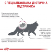 Фото 3 - ветеринарные корма Royal Canin RENAL SELECT RSE 24 сухой лечебный корм для кошек от 1 года
