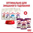 Фото - вологий корм (консерви) Royal Canin SENSORY TASTE JELLY консерви для котів вибагливих до смаку