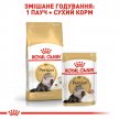 Фото - сухой корм Royal Canin PERSIAN (ПЕРСИАН) корм для кошек от 1 года