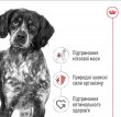 Фото 5 - сухий корм Royal Canin MEDIUM ADULT (СОБАКИ СЕРЕДНІХ ПОРІД ЕДАЛТ) корм для собак від 12 місяців