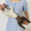 Фото 3 - іграшки GiGwi (Гігві) Plush Friendz ЗАЄЦЬ іграшка для собак шкурка з пищалкою, 47 см