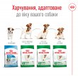 Фото 2 - сухий корм Royal Canin MINI ADULT 8+ (СОБАКИ ДРІБНИХ ПОРІД ЕДАЛТ 8+) корм для собак від 8 років