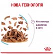 Фото - вологий корм (консерви) Royal Canin SENSORY FEEL GRAVY консерви для вибагливих кішок