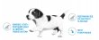 Фото 11 - сухой корм Royal Canin MINI STARTER MOTHER & BABYDOG корм для беременных и кормящих сук и щенков мини-пород