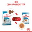 Фото 16 - вологий корм (консерви) Royal Canin MINI PUPPY вологий корм для цуценят дрібних порід від 2 до 10 місяців