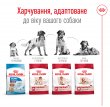 Фото 7 - сухий корм Royal Canin MEDIUM ADULT 7+ (СОБАКИ СЕРЕДНІХ ПОРІД ЕДАЛТ 7+) корм для собак від 7 років