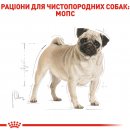 Фото - сухий корм Royal Canin PUG ADULT (МОПС ЕДАЛТ) корм для собак від 10 місяців