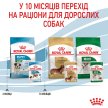 Фото - влажный корм (консервы) Royal Canin MINI PUPPY влажный корм для щенков мелких пород от 2 до 10 месяцев