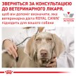 Фото - ветеринарные корма Royal Canin HYPOALLERGENIC SMALL DOG сухой лечебный корм для собак мелких пород