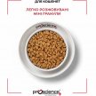 Фото 6 - сухой корм ProScience Healthy Growth Kitten Lamb сухой корм для котят ЯГНЕНОК