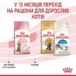 Фото - сухий корм Royal Canin KITTEN STERILISED (КІТТЕН СТЕРИЛІЗЕД) корм для стерилізованих кошенят від 6 до 12 місяців